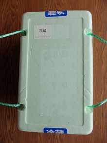発泡スチロール箱が届きました。