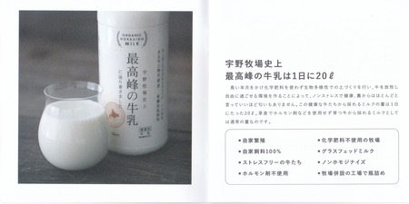 リーフレット3