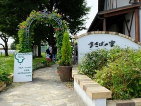 永利牧場6