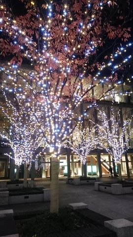 兵庫県立芸術文化センター前のイルミネーション Ft