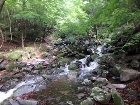P7050118