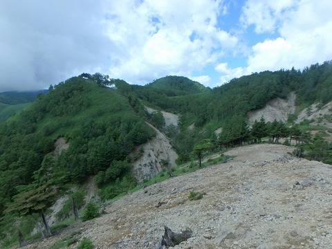 P7190121
