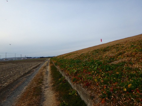 P2010056