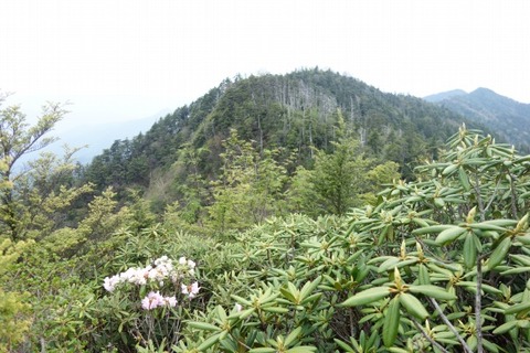DSC04418