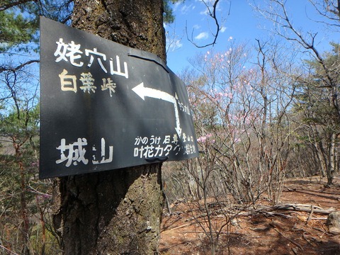 P3300142