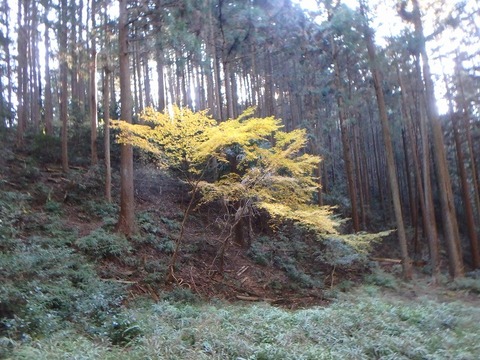 PC080052