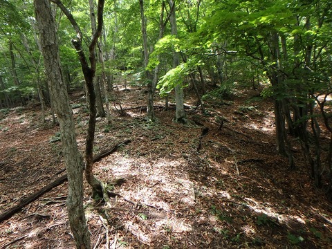 P7190158