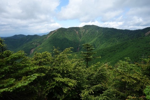 DSC05520