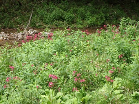 P6270470