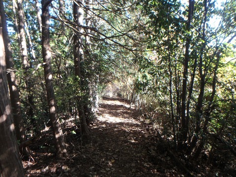 PC080099