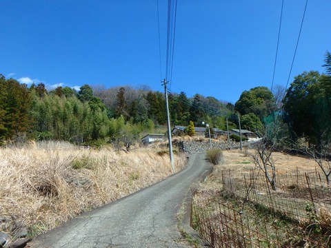 P3300113