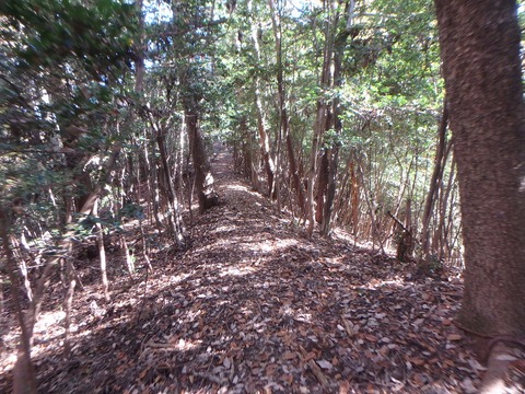PC080174