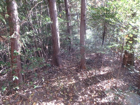 PC080273