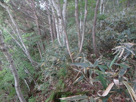 P7240056