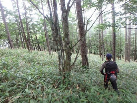 P7050275