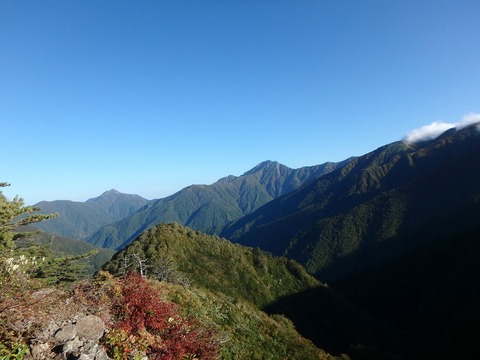 PA100115