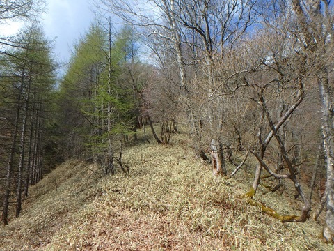 P4290193