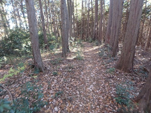 PC080244