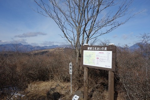 DSC00618