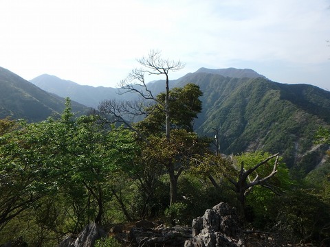 P5030457