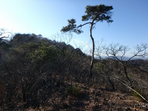 P1070099