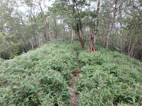 P7190141