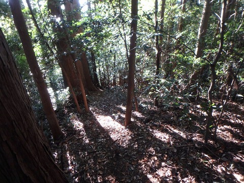 PC080088