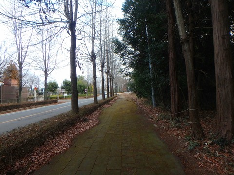 P1020043