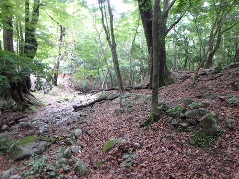 P7190168