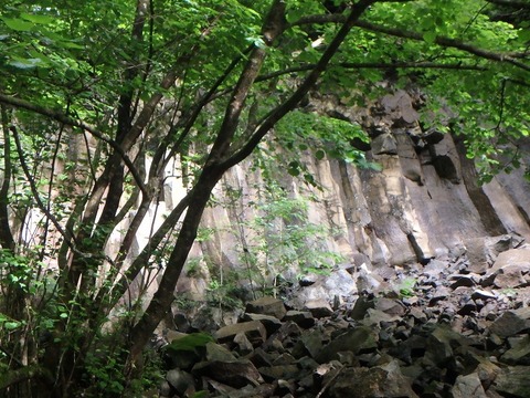 P7050113