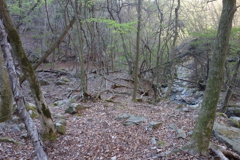 DSC02708