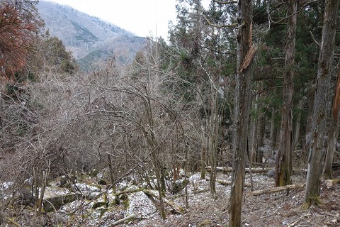 DSC00659