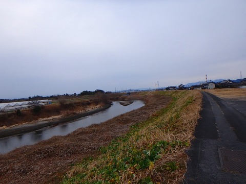 P2010082