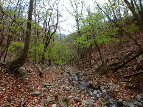 P4300229