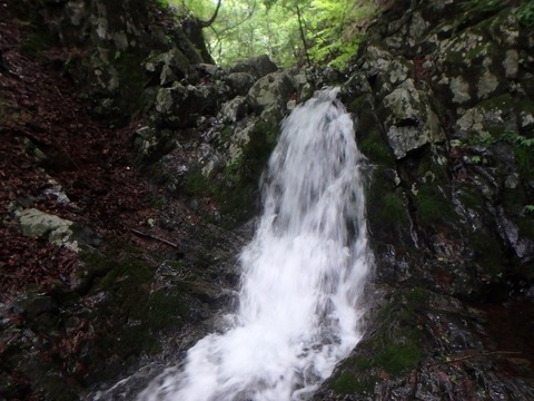 P7050166