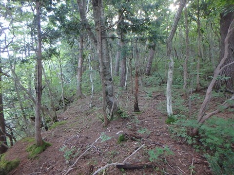 P7240043