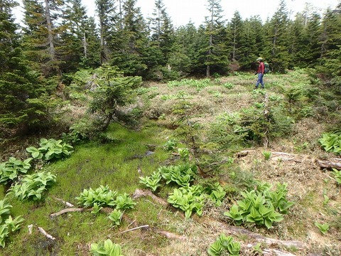P6270301