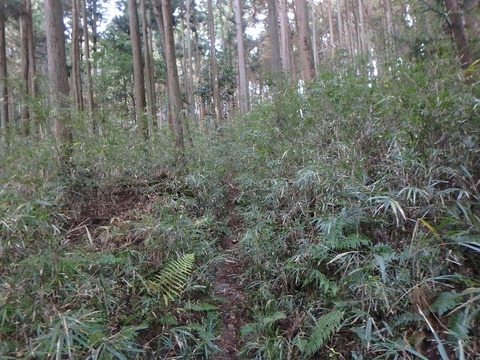 PC080010