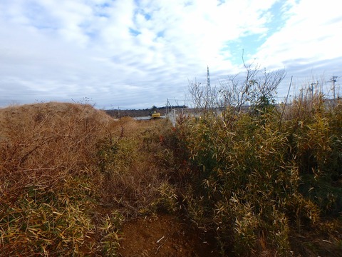P1020067
