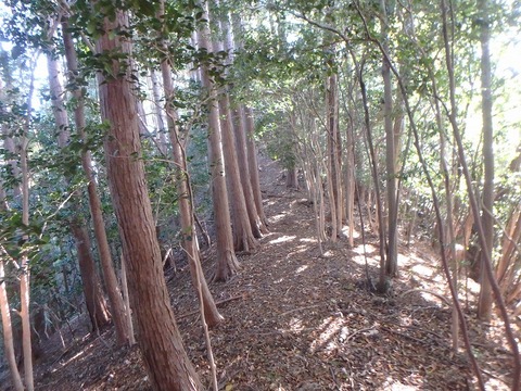 PC080063