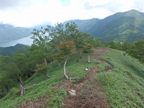 P7190076