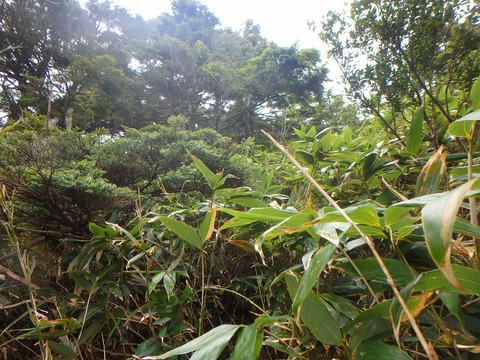 P6180227