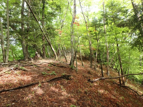 P5240039