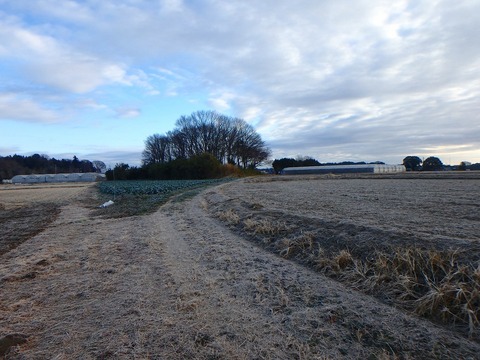 P1020032