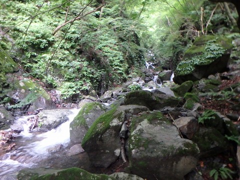P7050067