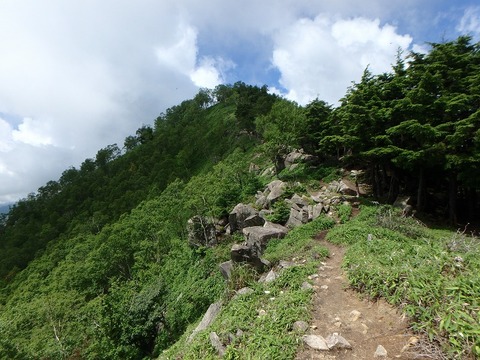 P7190088