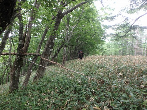 P7050257