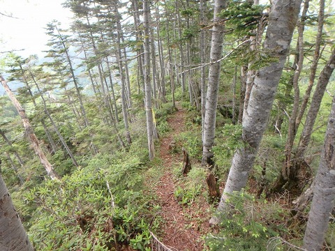P6270327