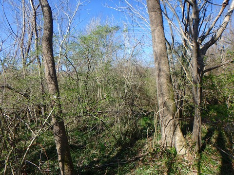 P3300059