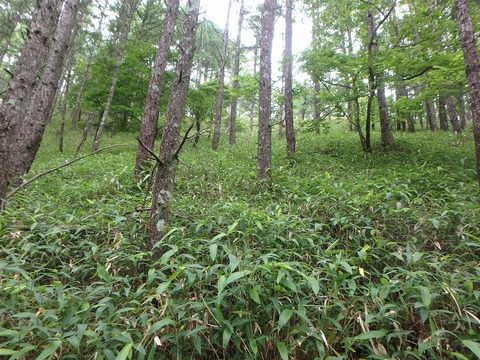 P7050251